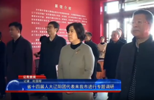 一枚小鸭蛋引领大振兴，鑫金集团产业链发展纪实