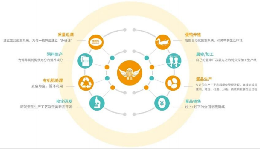 全产业链模式图