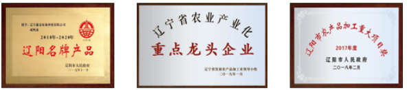 资质荣誉